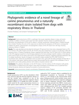 Phylogenetic Evidence of a Novel Lineage of Canine Pneumovirus And