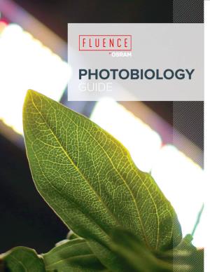 Photobiology Guide What Is Photobiology?