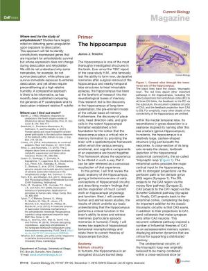 The Hippocampus Via Subiculum Upon Exposure to Desiccation