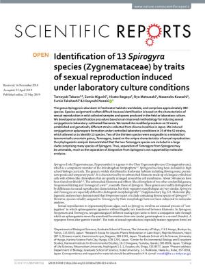 Identification of 13 Spirogyra Species (Zygnemataceae) by Traits of Sexual Reproduction Induced Under Laboratory Culture Conditions
