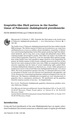 Graptolite-Like Fibril Pattern in the Fusellar Tissue of Palaeozoic Rhabdopleurid Pterobranchs