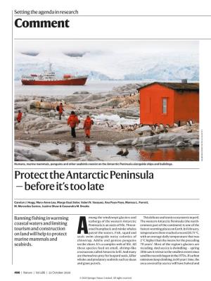 Antarctic Peninsula Alongside Ships and Buildings