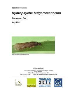 Hydropsyche Bulgaromanorum