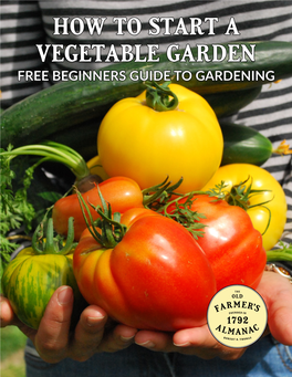 How to Start a Vegetable Garden Free Beginners Guide to Gardening