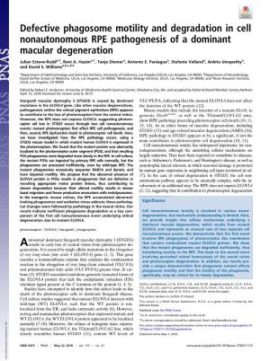 Defective Phagosome Motility and Degradation in Cell Nonautonomous RPE Pathogenesis of a Dominant Macular Degeneration