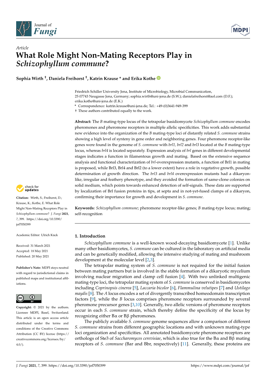 What Role Might Non-Mating Receptors Play in Schizophyllum Commune?