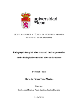 Endophytic Fungi of Olive Tree and Their Exploitation in the Biological