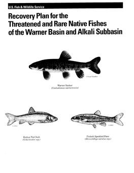 Recovery Plan for the Native Fishes of the Warner Basin and Alkali Subbasin