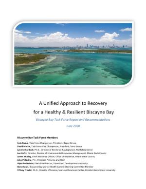 A Unified Approach to Recovery for a Healthy & Resilient Biscayne