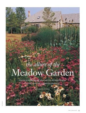 The Allure of the Meadow Garden