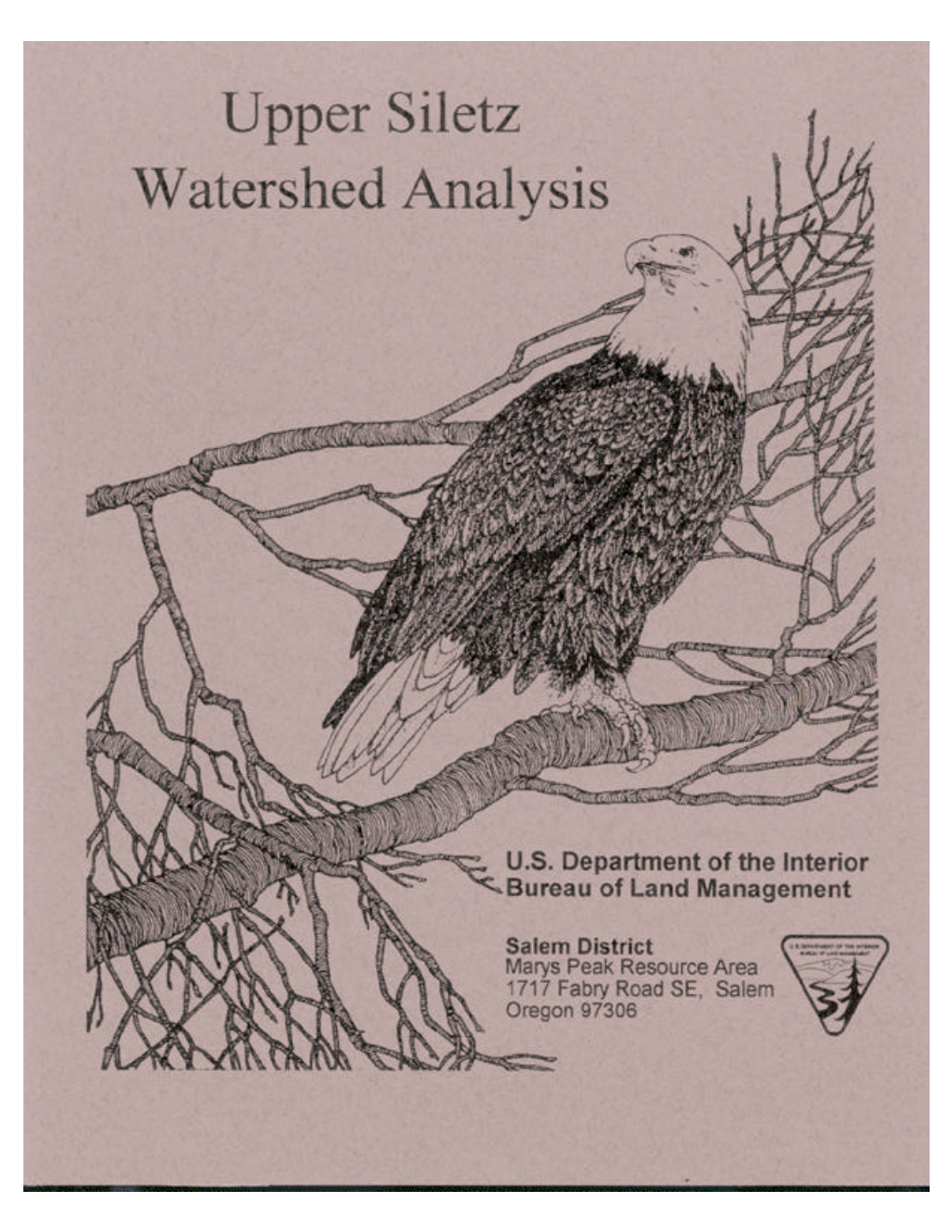 Upper Siletz Watershed Analysis