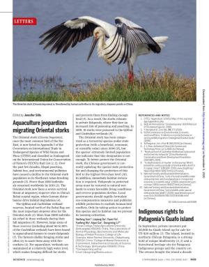 Aquaculture Jeopardizes Migrating Oriental Storks Indigenous Rights To