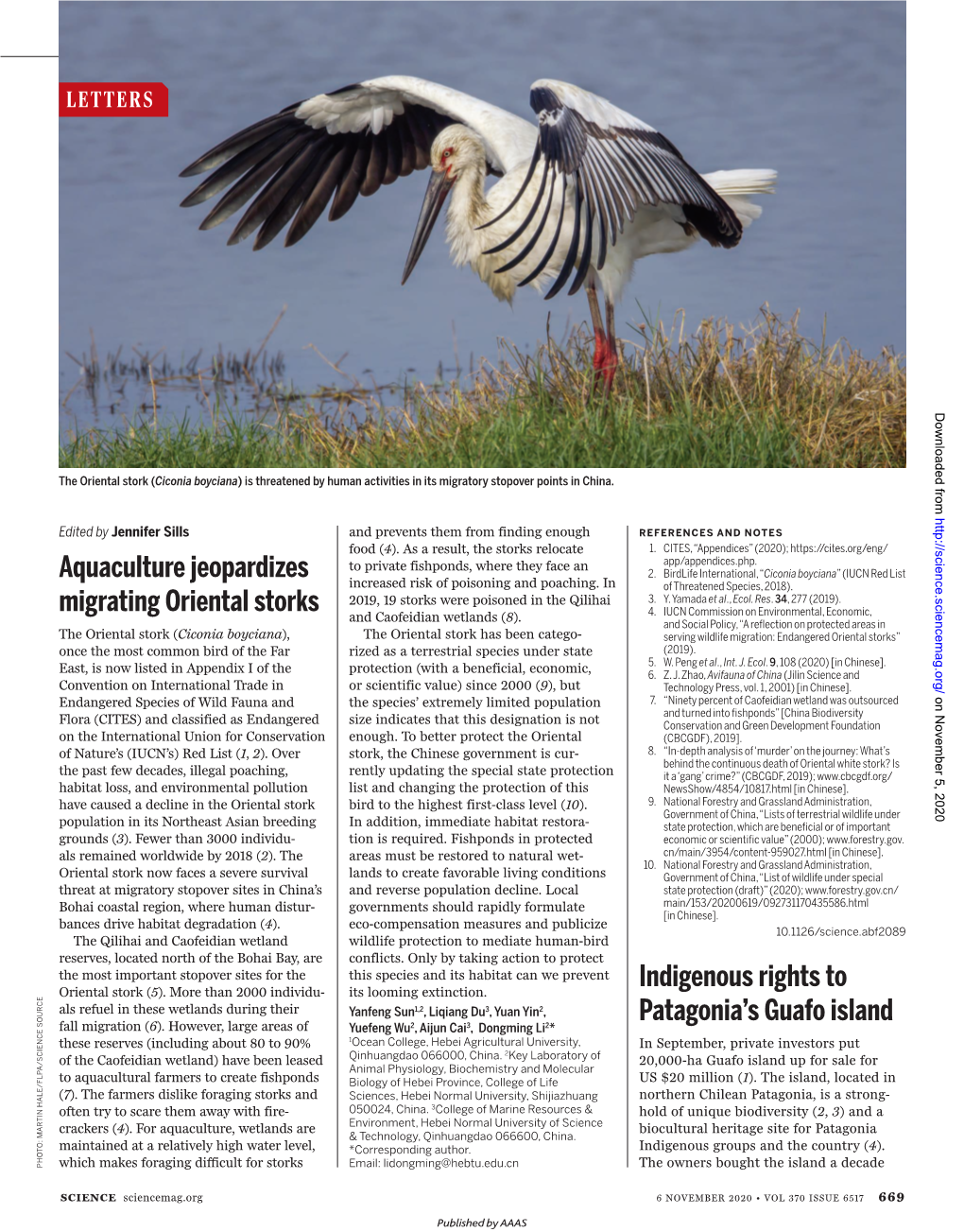 Aquaculture Jeopardizes Migrating Oriental Storks Indigenous Rights To