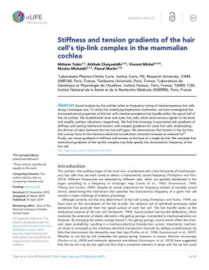 Stiffness and Tension Gradients of the Hair Cell's Tip-Link Complex In
