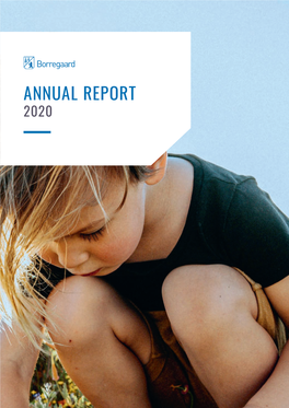 Borregaard Annual Report 2020 Spreads