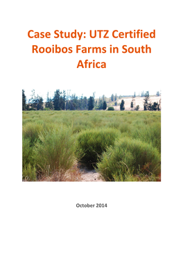 Case Study: UTZ Certified Rooibos Farms in South Africa