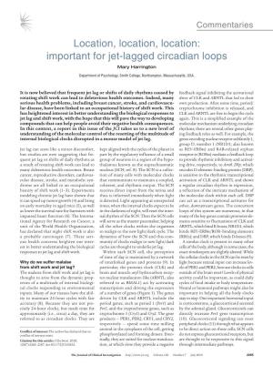 Important for Jet-Lagged Circadian Loops Mary Harrington