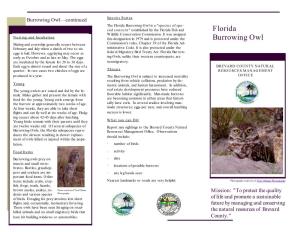 Florida Burrowing Owl Is a "Species of Spe- Cial Concern" Established by the Florida Fish and Florida Wildlife Conservation Commission