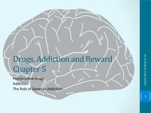 Psychoactive Drugs Addiction the Role of Genes in Addiction