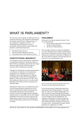 Parliament Brief What Is Parliament (Pdf 127KB)