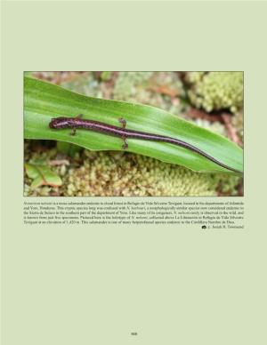 Nototriton Nelsoni Is a Moss Salamander Endemic to Cloud Forest in Refugio De Vida Silvestre Texíguat, Located in the Departments of Atlántida and Yoro, Honduras