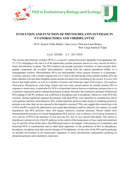 Evolution and Function of Phytochelatin Synthase in Cyanobacteria and Viridiplantae