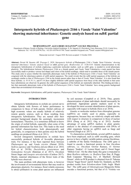 Intergeneric Hybrids of Phalaenopsis 2166 X Vanda ‘Saint Valentine’ Showing Maternal Inheritance: Genetic Analysis Based on Ndhe Partial Gene