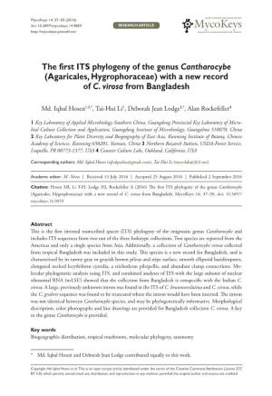 The First ITS Phylogeny of the Genus Cantharocybe (Agaricales, Hygrophoraceae) with a New Record of C