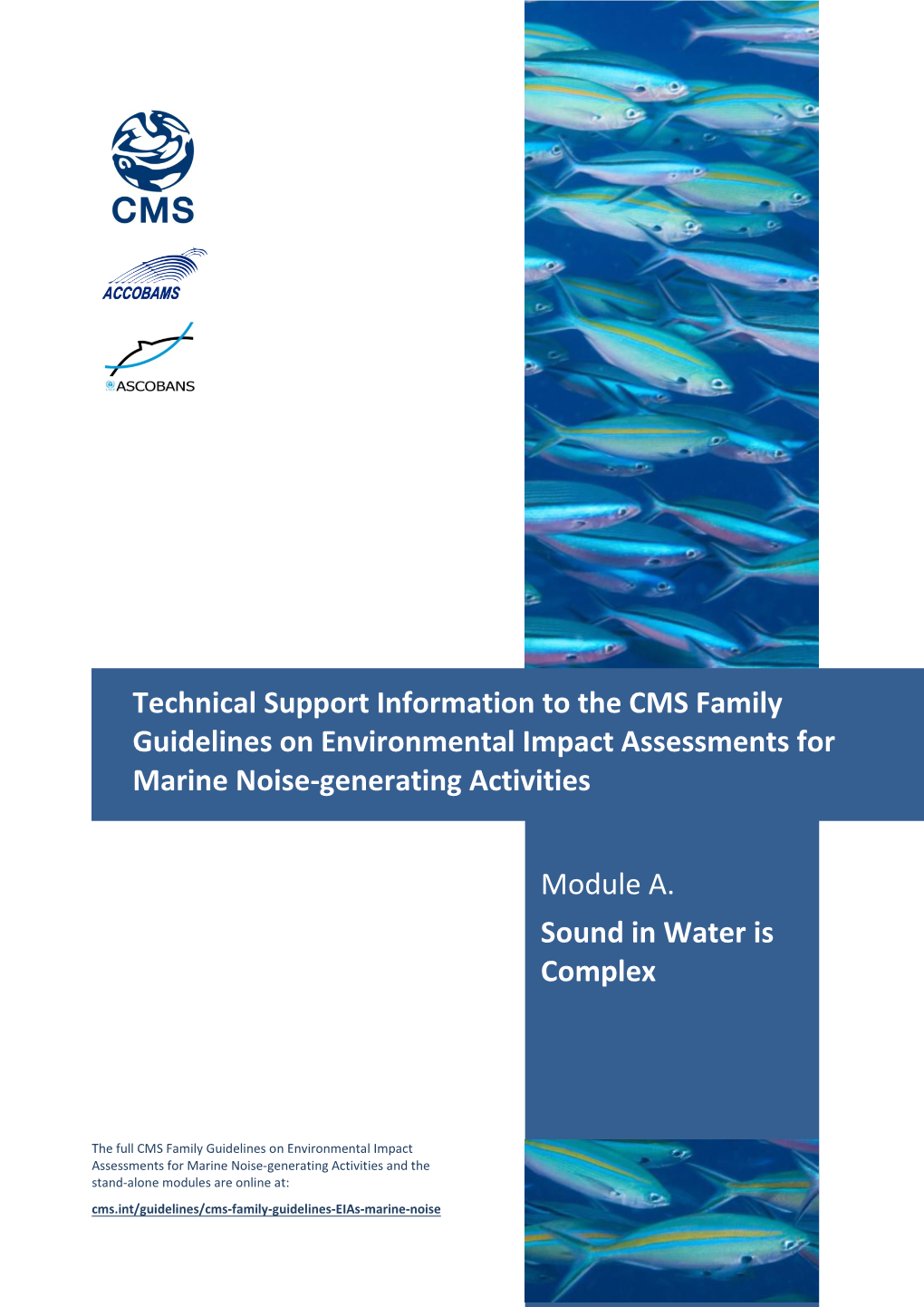 Technical Support Information to the CMS Family Guidelines on Environmental Impact Assessments for Marine Noise-Generating Activities