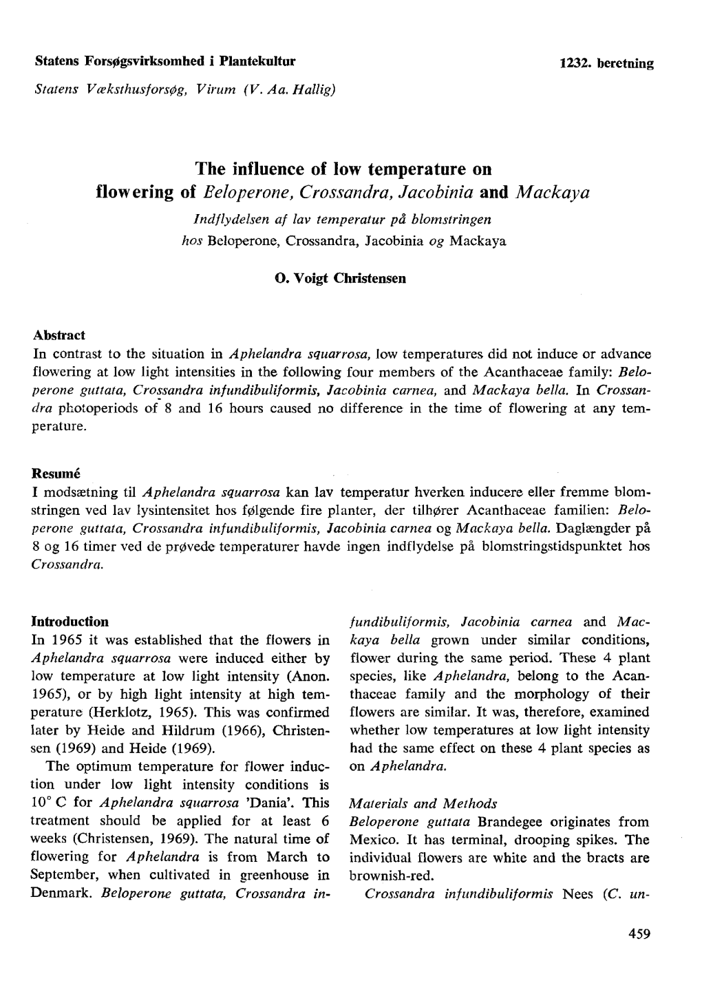 The Influence of Low Temperature on Flowering of Beloperone, Crossandra, Jacobinia and Mackaya