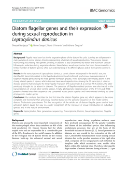 Diatom Flagellar Genes and Their Expression During Sexual Reproduction in Leptocylindrus Danicus