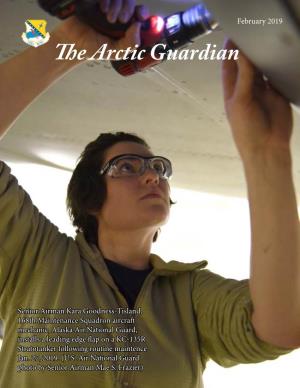 The Arctic Guardian