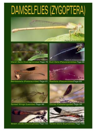 Dragonflies and Damselflies of Peninsular India-A Field Guide. E-Book of Project Lifescape