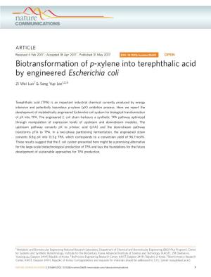 Biotransformation of P-Xylene Into Terephthalic Acid by Engineered Escherichia Coli