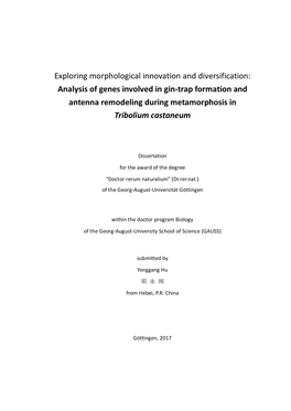 Analysis of Genes Involved in Gin-Trap Formation and Antenna Remodeling During Metamorphosis in Tribolium Castaneum