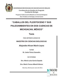 Caballos Del Pleistoceno Y Sus Paleoambientes En Dos Cuencas De Michoacan, México”