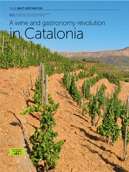 A Wine and Gastronomy Revolution in Catalonia