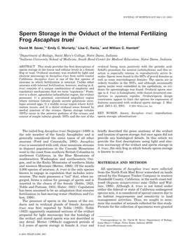 Sperm Storage in the Oviduct of the Internal Fertilizing Frog Ascaphus Truei