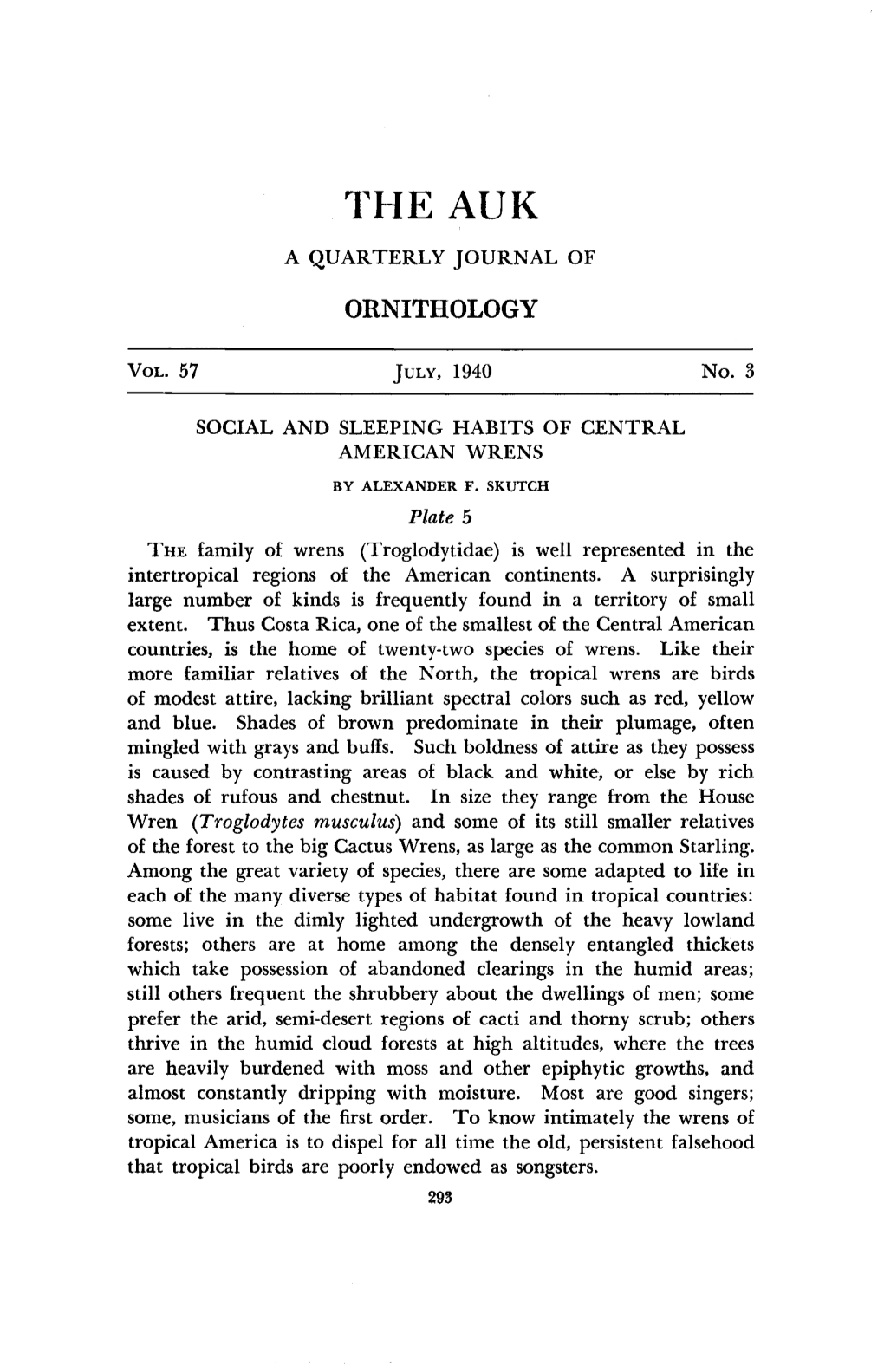 Social and Sleeping Habits of Central American Wrens