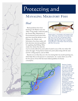 Hudson River Estuary Program Report Card on the First Five Years