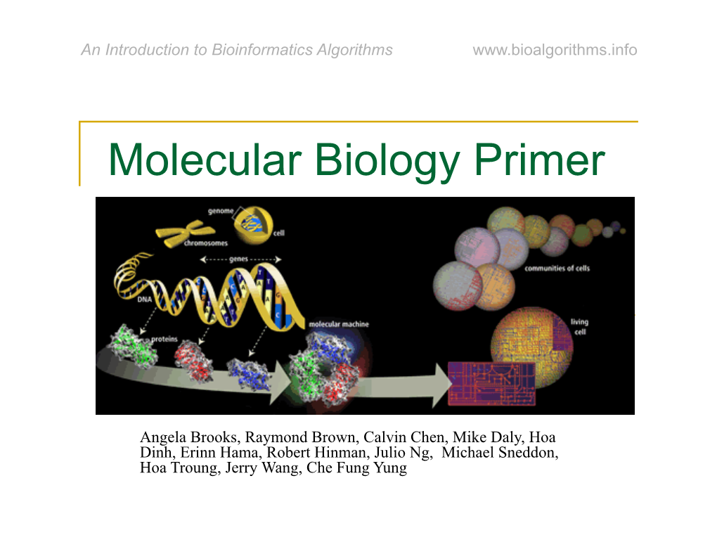 Molecular Biology Primer