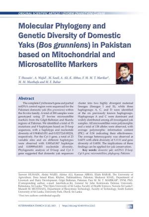Molecular Phylogeny and Genetic Diversity of Domestic Yaks (Bos Grunniens) in Pakistan Based on Mitochondrial and Microsatellite Markers