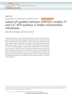 Lateral Ph Gradient Between OXPHOS Complex IV and F0F1 ATP-Synthase in Folded Mitochondrial Membranes