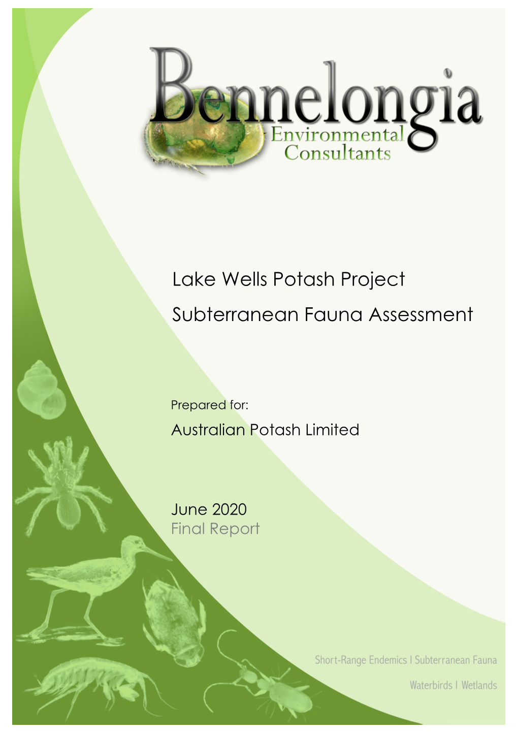 Lake Wells Potash Project Subterranean Fauna Assessment