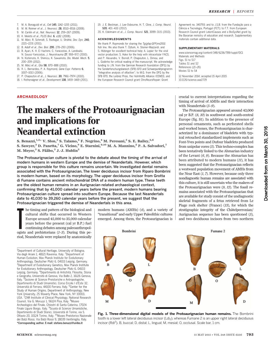 The Makers of the Protoaurignacian and Implications for Neandertal Extinction S