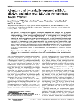Abundant and Dynamically Expressed Mirnas, Pirnas, and Other Small Rnas in the Vertebrate Xenopus Tropicalis