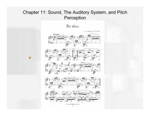Chapter 11: Sound, the Auditory System, and Pitch Perception Overview of Questions