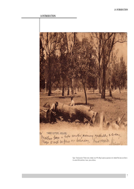 1.0 INTRODUCTION 1.0 INTRODUCTION Ssp Specimens in the Adelaide Park Lands, Most Likely in Eucalyptus the Southern Park Land Blocks