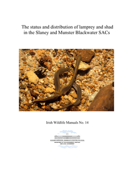 The Status and Distribution of Lamprey and Shad in the Slaney and Munster Blackwater Sacs
