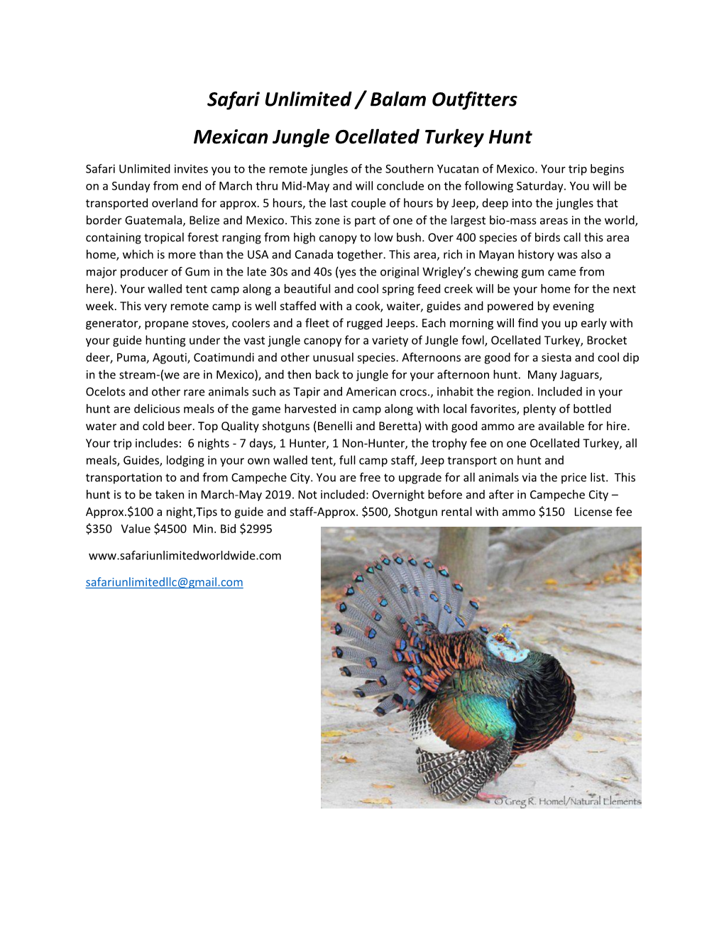 Safari Unlimited / Balam Outfitters Mexican Jungle Ocellated Turkey Hunt